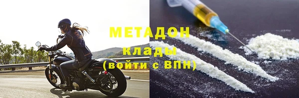 шишки Верея