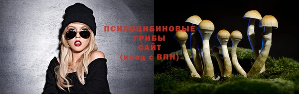 мяу мяу мука Верхнеуральск