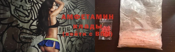 шишки Верея