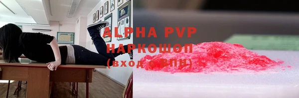 шишки Верея