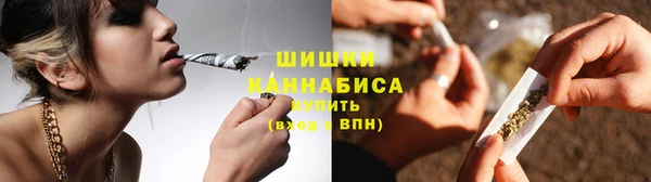 шишки Верея
