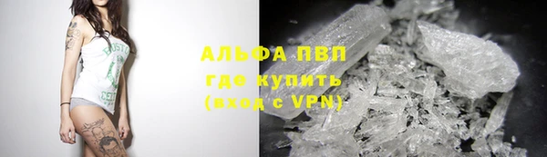 шишки Верея