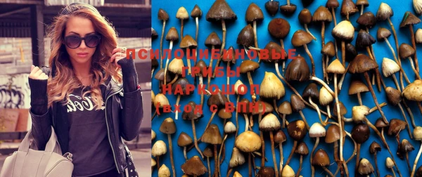 каннабис Верхний Тагил