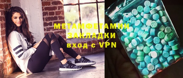 шишки Верея