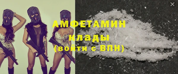 шишки Верея