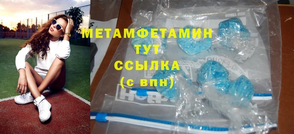 шишки Верея