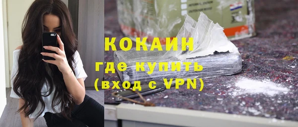 шишки Верея