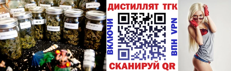 мориарти наркотические препараты  Тайшет  ТГК гашишное масло  как найти закладки 