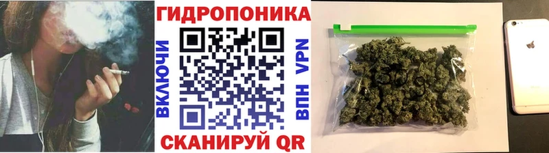 магазин продажи наркотиков  Тайшет  Канабис гибрид 